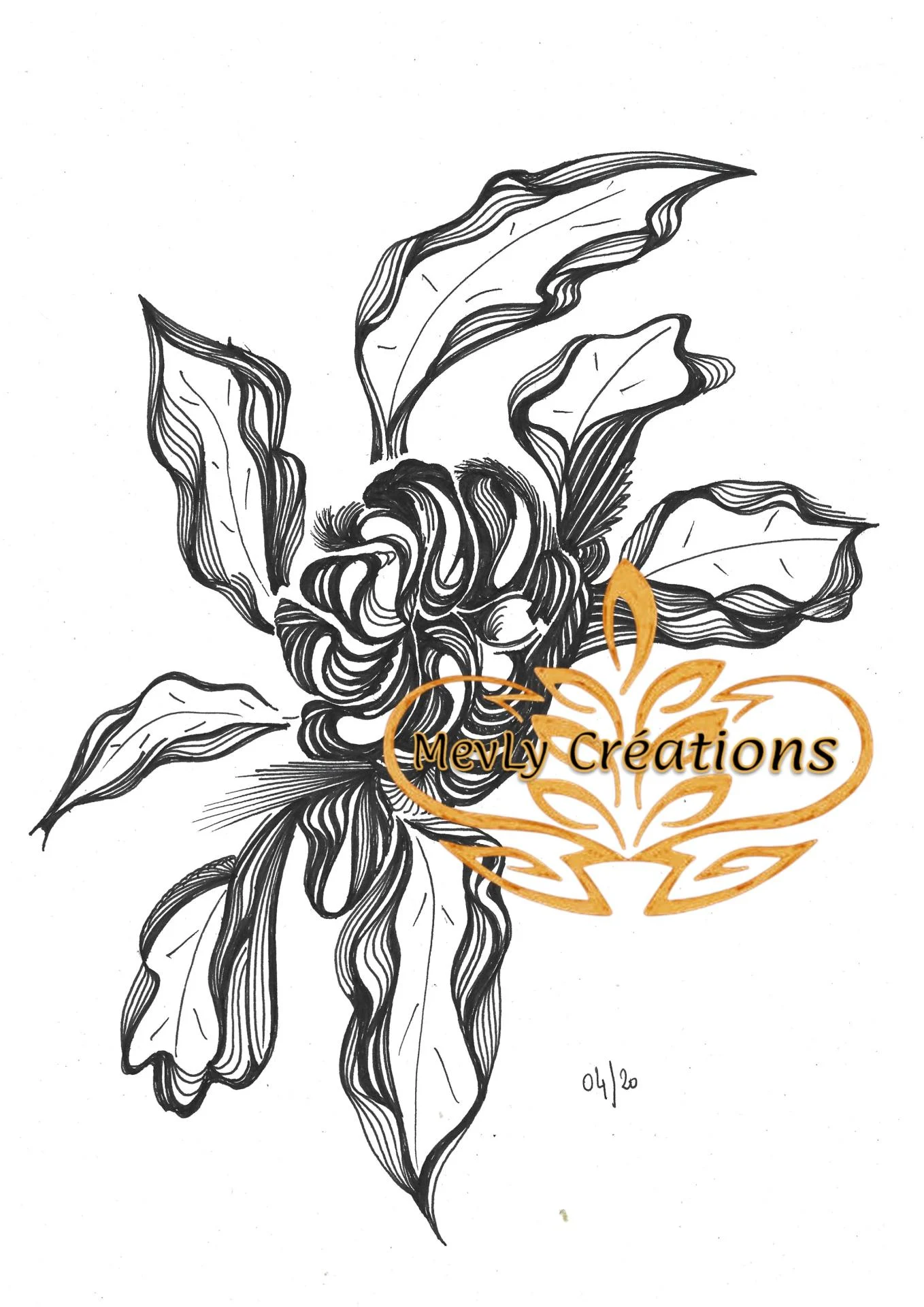 Dessin Floralys