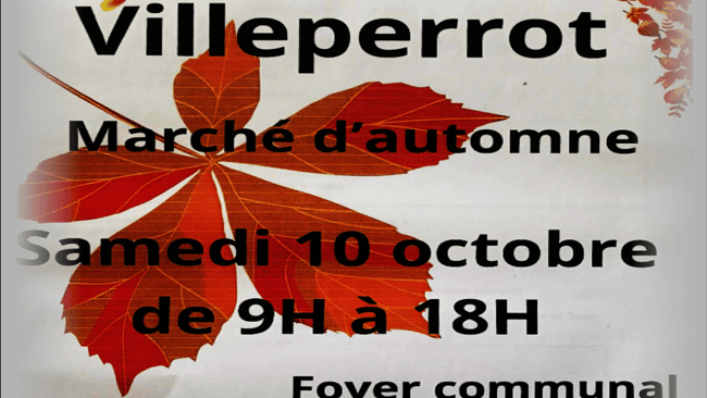 2026 10 10 marche d automne villeperrot mevly creation darn lec h all