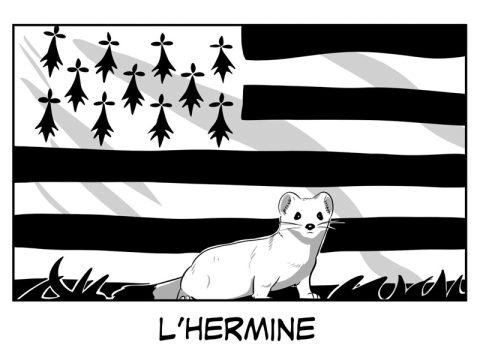 Affiche hermine drapeau breton 480x360
